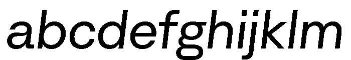 Algorytm RegularItalic FONT