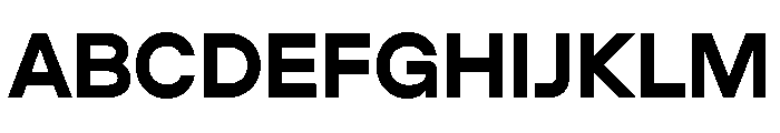 AlgorytmFlip Bold Font UPPERCASE