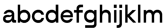 AlgorytmFlip Medium FONT
