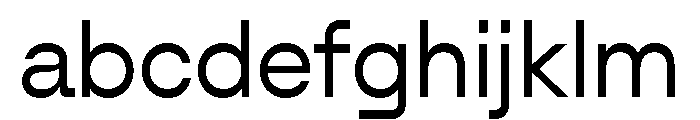 AlgorytmFlip Regular FONT