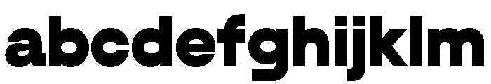 AlgorytmFlip Ultra FONT