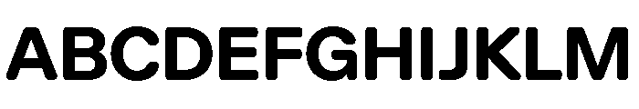AlgorytmSoft Bold Font UPPERCASE