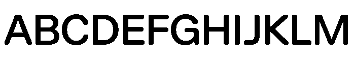 AlgorytmSoft Medium Font UPPERCASE