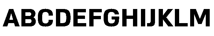 AlmoniMLv5AAA Bold Font UPPERCASE