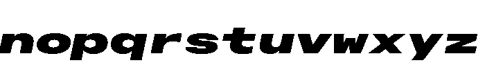 Alpaga UltExpExtBlkIta Ec389553 Font LOWERCASE