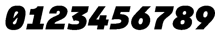 AlpagaVAR BlackItalic Instance Font OTHER CHARS