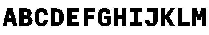 AlpagaVAR Bold Instance F9f19386 Font UPPERCASE