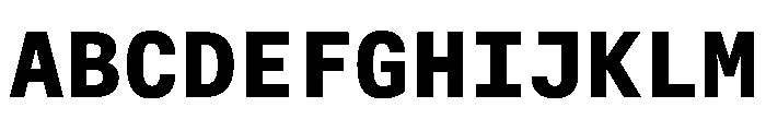 AlpagaVAR Bold Instance Font UPPERCASE