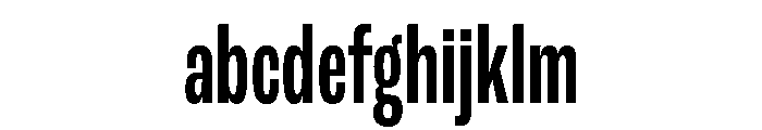 Am Tirana Medium FONT
