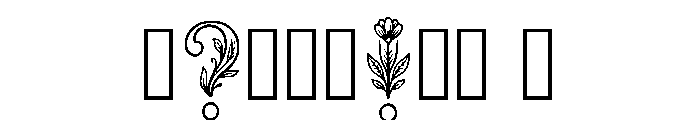 Amina Regular Font OTHER CHARS