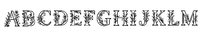 Amina Regular FONT