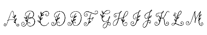 Amy Regular FONT
