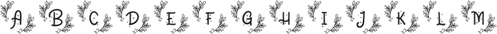 fontPreview