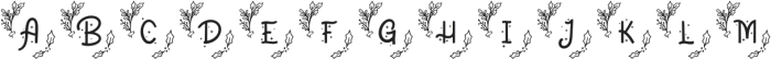 fontPreview