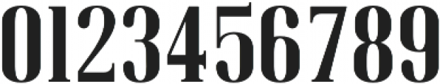 American Oak Serif otf (400) Font OTHER CHARS