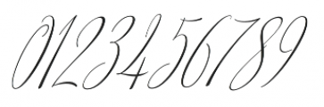 American Script Italic otf (400) Font OTHER CHARS