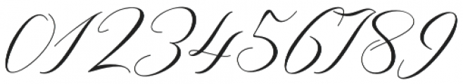 Amfibi Script Regular otf (400) Font OTHER CHARS