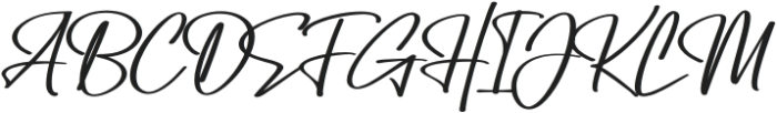 Amity Signature Bold otf (700) Font