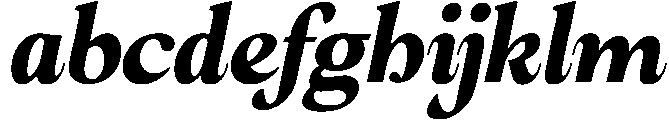 Amnesist Black Italic otf (900) FONT