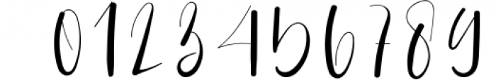 Amsterdam - A Modern Signature Font Font OTHER CHARS