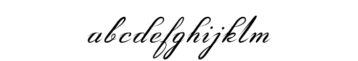 Amarillo regular script Font LOWERCASE