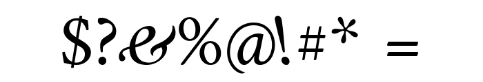 Amiri Italic Font OTHER CHARS