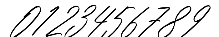 Amsterday Signature Font OTHER CHARS