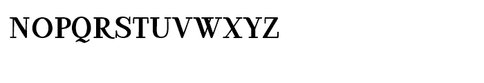 Ambar Serif Font LOWERCASE