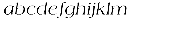 Americana Regular Italic Font LOWERCASE
