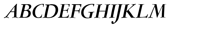 Amsterdamer Garamont Medium Italic P Font UPPERCASE