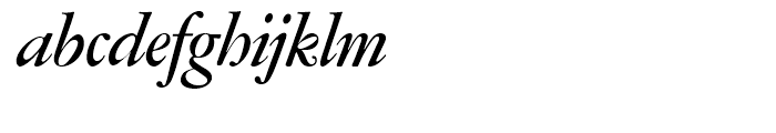 Amsterdamer Garamont Medium Italic P Font LOWERCASE