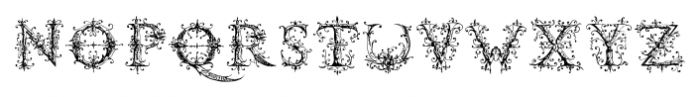Ambrose Bierce Damned Font Regular Font LOWERCASE