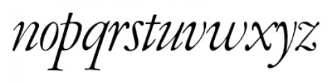 Amsterdamer Garamont Italic Font LOWERCASE
