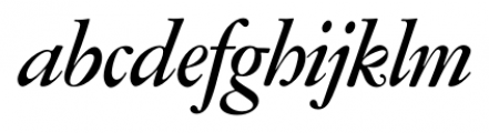 Amsterdamer Garamont Medium Italic Font LOWERCASE
