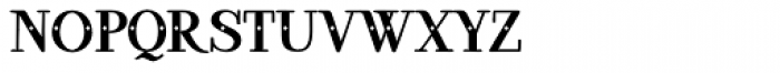 Ambar Serif Decore Font LOWERCASE