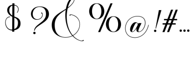 Amberaya Calligraphy Font OTHER CHARS
