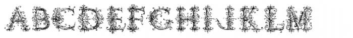 Ambrose Bierce Damned Font Font LOWERCASE