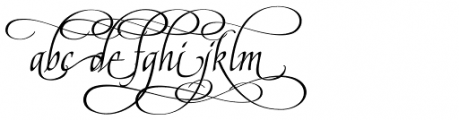 American Calligraphic Alternates Font LOWERCASE