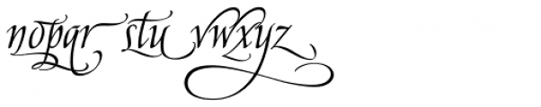 American Calligraphic Alternates Font LOWERCASE