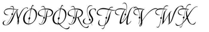 American Calligraphic Fleur Font UPPERCASE