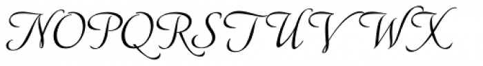 American Calligraphic Regular Font UPPERCASE