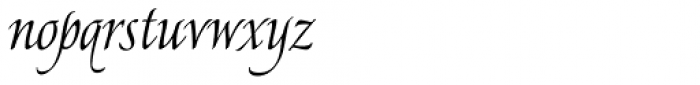 American Calligraphic Regular Font LOWERCASE