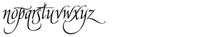 American Calligraphic Swash Font LOWERCASE
