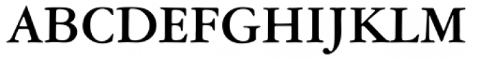 American Garamond Bold Font UPPERCASE