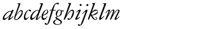 American Garamond Italic Font LOWERCASE