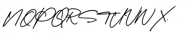 Amerika Signature Script Font UPPERCASE