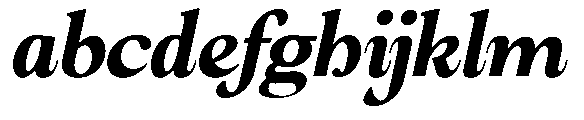 Amnesist Extra Bold Expanded Italic FONT