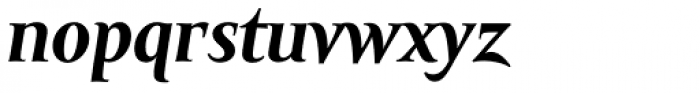 Amor Serif Text Bold Italic Font LOWERCASE