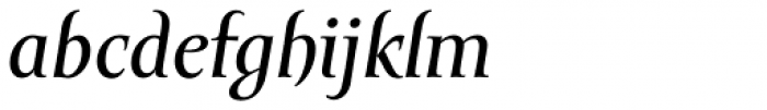 Amor Serif Text Italic Font LOWERCASE