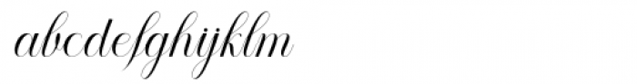 Amour Script  Italic Font LOWERCASE
